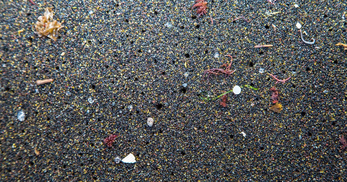 plasticsoupfoun's tweet photo. By washing clothes, we're doing irreparable damage to our #oceans! 

“Our research team literally counted these tiny fibres and discovered that actually up to 17M may be released in every wash,” says Maria Westerbos, director of Plastic Soup Foundation. https://t.co/wso5IzrM3j https://t.co/xVSeAH7jjs