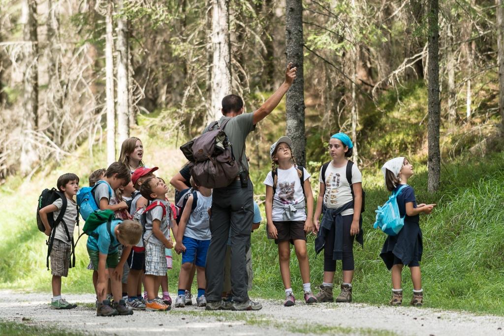 UldAnpezo's tweet photo. Ho scelto questa foto per far capire perchè i nostri musei sono differenti. Questa immagine rappresenta tutto quello che per me è l'idea di museo. #differenceMW
#regole #ulda #cultura #cortina @MuseoDolom_it https://t.co/qzwHzmZ0v3