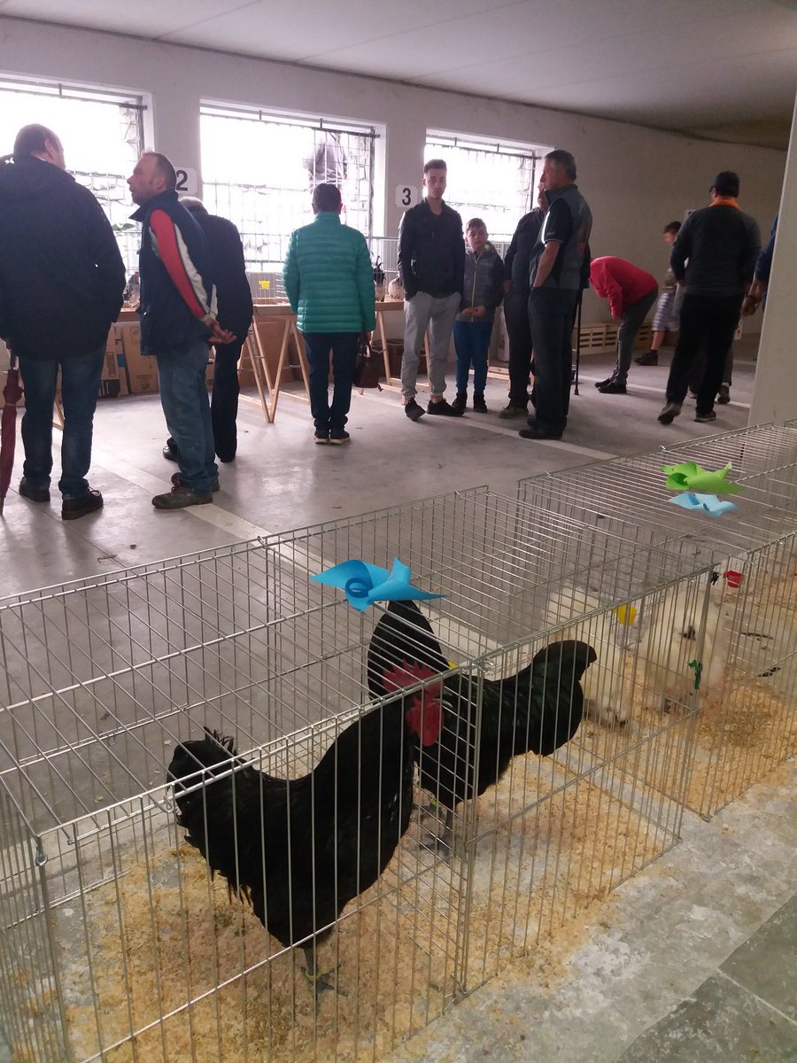 AgriVda's tweet photo. Il Borgo di Donnas ospita oggi Lou Courtì e lou poulayé: alla scoperta di orti e pollai di montagna. https://t.co/3qoiqx9npJ