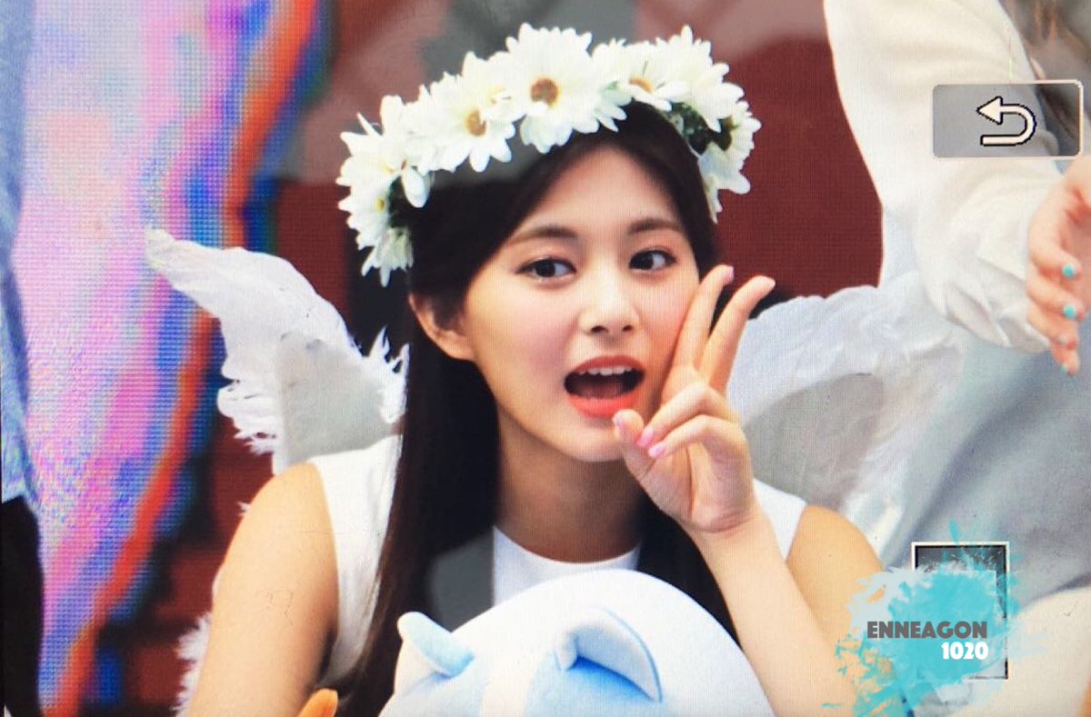 Enneagon1020(앤니어곤) tweet media