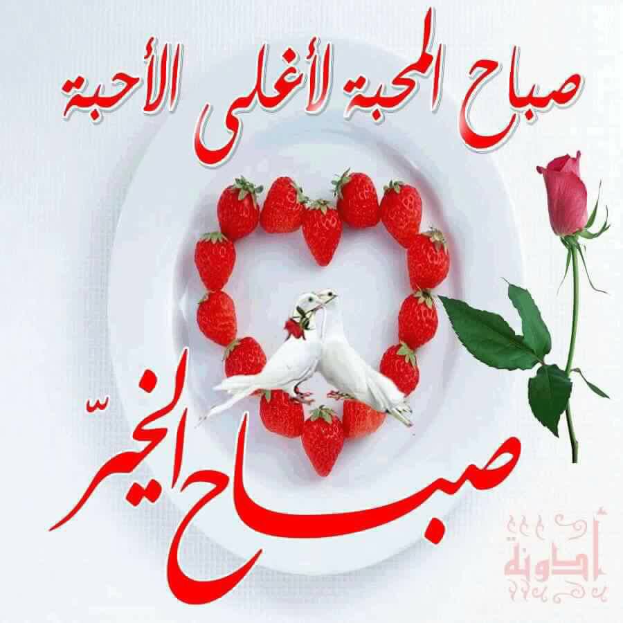 Bader-Alhathall (@badermo79713902) on Twitter photo 