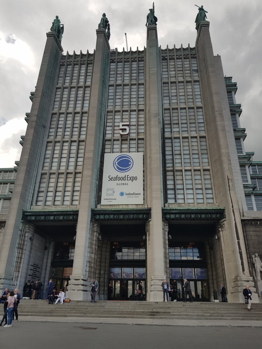 Whitfish Ltd tweet media