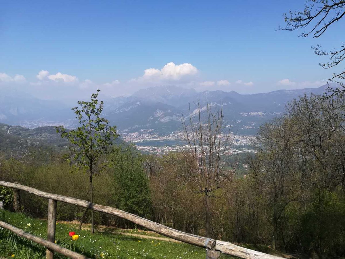 Lakecomo_it's tweet photo. Dal Monte San Genesio si gode una magnifica vista... si scorgono Consonno, il Resegone e La Valle dell'Adda ❤️ 🌷
#LakeComo #SpringinLombardia #BuonaDomenica #29aprile
(foto di Daniela Colombo) https://t.co/jf3SsLxBKl