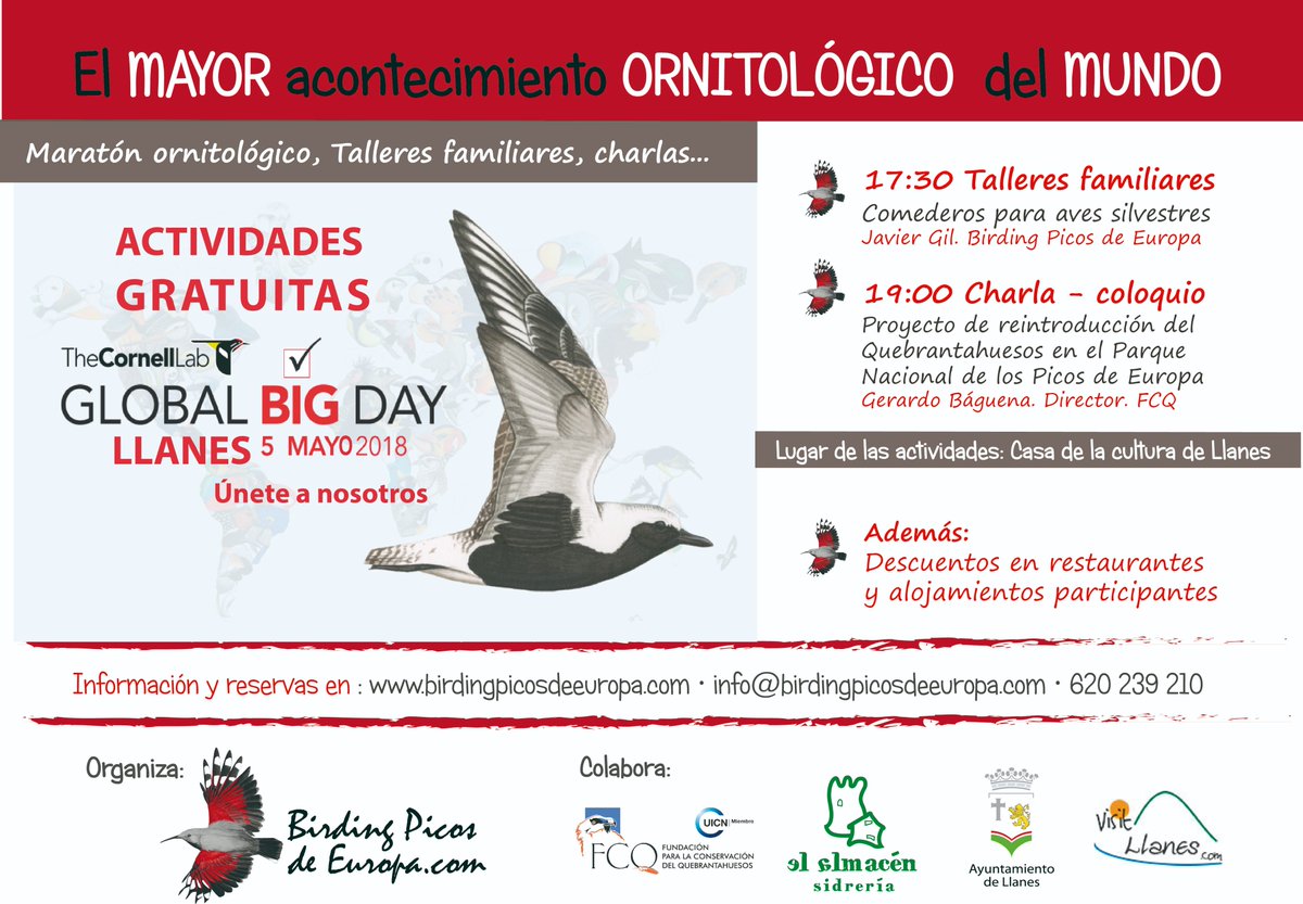 BirdingSpain's tweet photo. Ya están en la web los alojamientos y restaurantes de #llanes que ofrecen ofertas para el Global Big Day https://t.co/T6vJrvhPZd ¿TE ANIMAS A PAJAREAR? @visitllanes  @llanesturismo @Turismoruralast @Llascara_AS @hotelmiracielos @cuartamenteru @MazugaRural @sidreriapuerto https://t.co/ZDr8aykmqv