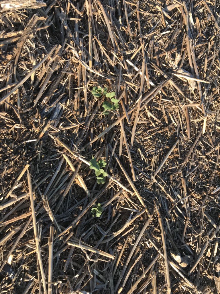 A Lehmann tweet media