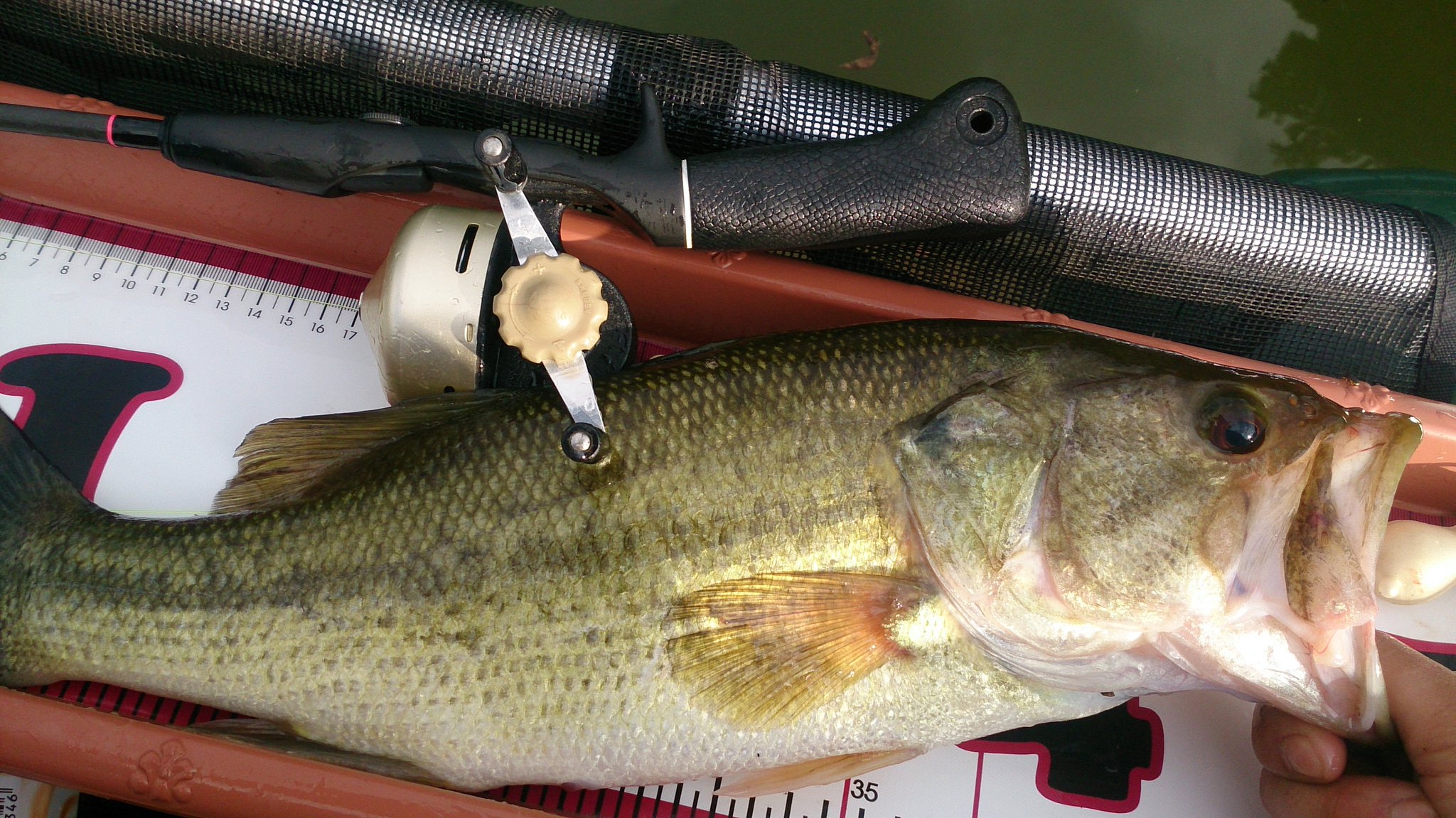 Toshi 47 このサイズになるとマチック辛いです T T トップウォーター オールドタックル アブマチック T Co Doqi24y2ku Twitter