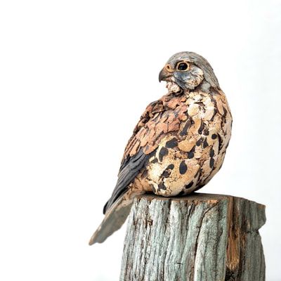 ArtichokeGlry's tweet photo. "he seeks to capture and portray that sense of awareness that is present in all living things" - Simon Griffiths
.
https://t.co/6OBpGV5saV
.
#beneaththecanopy #artgallery #ticehurst #eastsussex #trees #landscape #birds #kestrel #simongriffiths #sculpture https://t.co/fcSLAhd51n