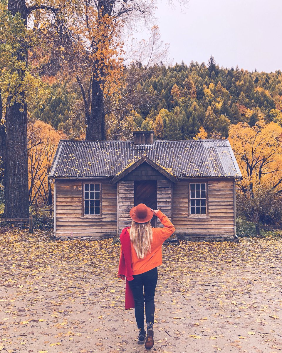 semmalchen's tweet photo. #AUTUMN IS HERE! 🍁✨ https://t.co/hUDn9cgSdA