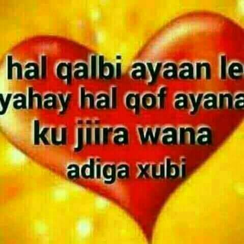 Dholayare5's tweet photo. https://t.co/s39fGRqVCL