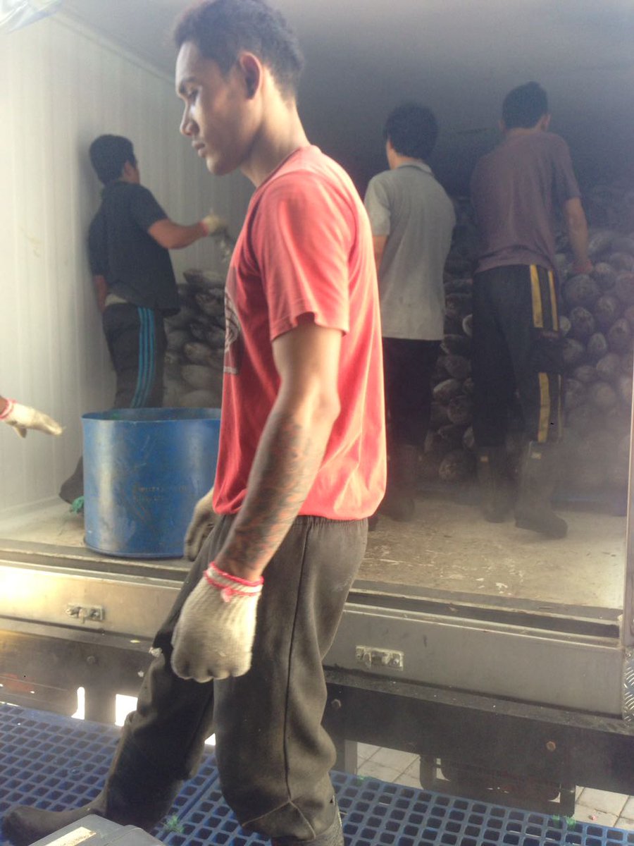 WilkerBenoa's tweet photo. 29/04 #OneHealthKIPM
Pengawasan Stuffing Domestik Keluar di Pelabuhan Benoa. PT. Bagan Sukses Mandiri Komoditi : Cakalang 1 Thermoking 🚛 Tujuan Pasuruan. 
 by @bkipmdenpasar @wilkerbenoa @HumasBKIPM @rinajanwar2201 https://t.co/zGqOY40fIO