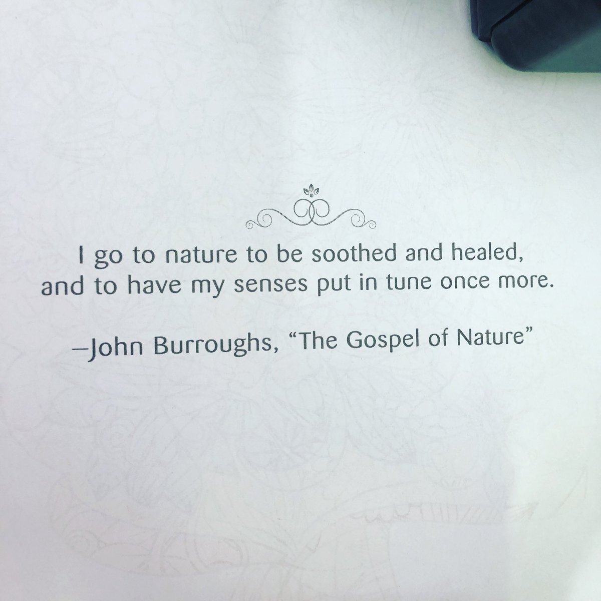KatorasC's tweet photo. #NatureIsBeautiful #naturelovers #nature #environment #reducereuserecycle https://t.co/23KnN5pcNB