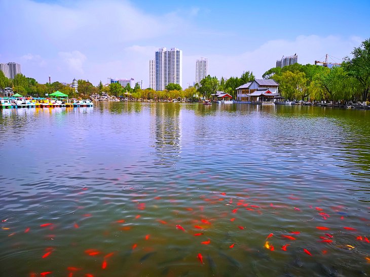 People's Daily, China tweet media