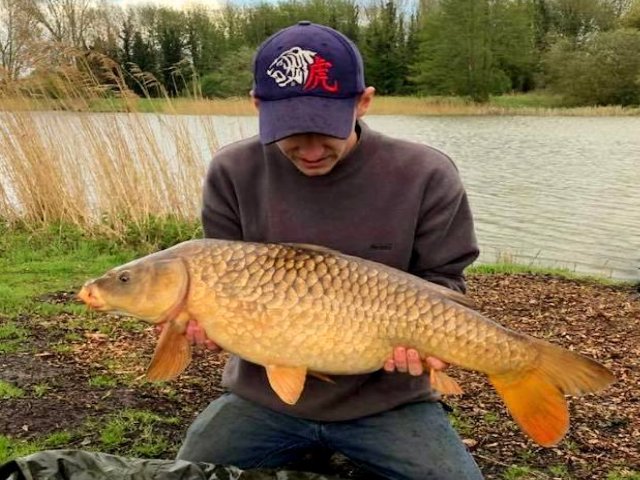 BigFishBaits's tweet photo. Ashley Brown got himself out for a 24 hour stint down at Hinderclay and bagged himself two 20's at 22.2 and 22.4.
Both were caught using #SpicedNut #PopUps over a bed of #SpicedNut and #MilkOne, yep it's that combo again
Well done Ashley #LetTheBaitDoTheTalking https://t.co/F6kESOBLq6