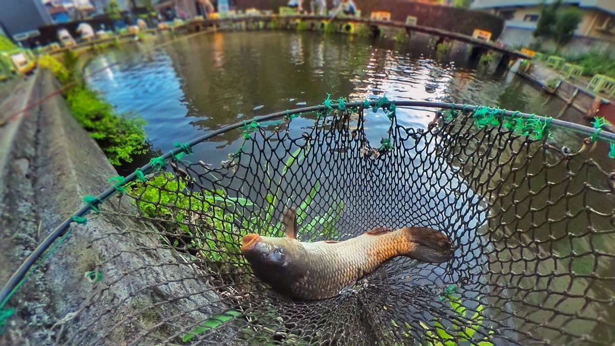 工藤雄司 見た目は同じ練り餌ながら意外にも餌も交換しました お店のご主人も感じのいい方です ぜひまた行きたい釣り堀 やっぱり釣りっていいなぁと 駅からすぐ 電車から見えるはずの位置関係ですが 建物に遮られ 意外に見えません T