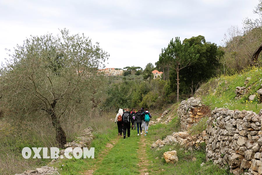 onefineart's tweet image. A beautiful path between Daisy flowers in Baakline / Baakleen - Time to book for hotels in Lebanon hotel.discoverlebanon.com/Place/Lebanon.… - #naturepath #daisyflower #baakline #baakleen #hotelslebanon