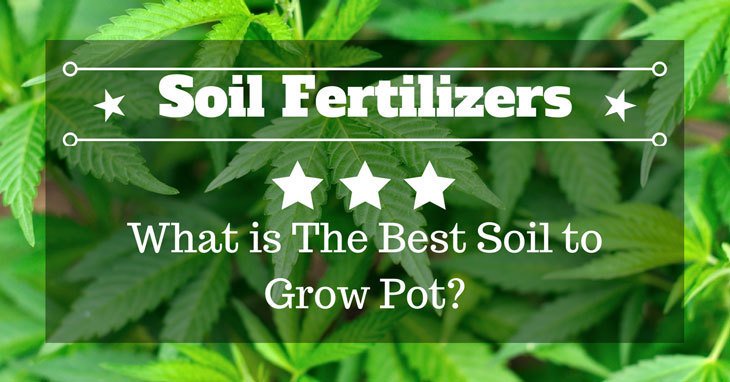 Ella Wilson tweet media