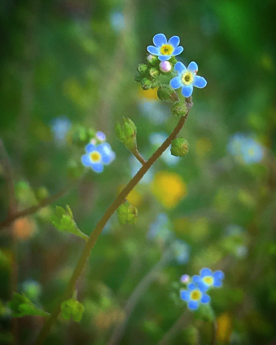 Beautifu Sunday  Twittre world💞🌱🌱🌱