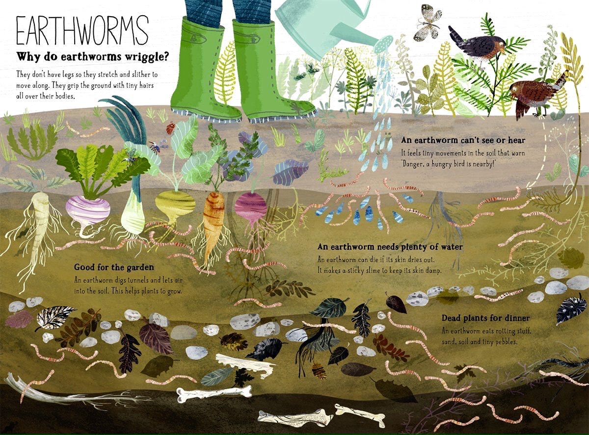 There are 29 earthworm species in the UK - who knew?! This year's #WildAboutGardens theme is all about the gardeners best friend: worms @WildAbtGardens @hackneywick @GardenCollage @kewgardens
