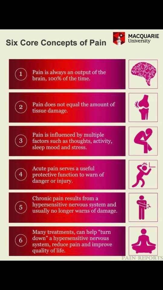 axelle_mokry's tweet photo. New #educational tool developed to teach core concepts of #pain research into Macquarie University’s #PhysicalTherapy program. 
via @larsavemarie https://t.co/wC8vlI6dEf