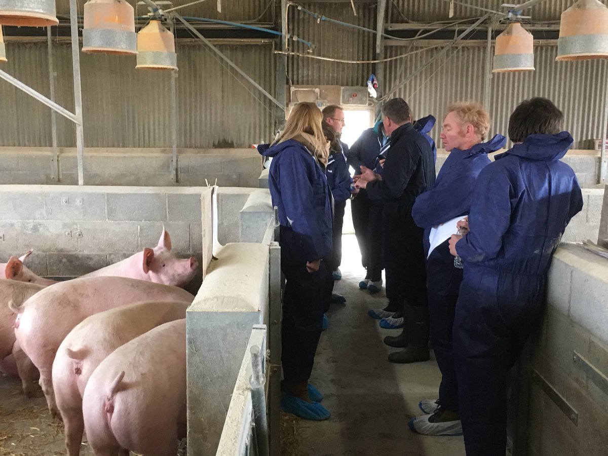 peamanruss's tweet image. Great weekend reunion with the #WCF2015 in Yorkshire looking round Brocklesby Oil, Buckle Farms and Yorkshire Dairy Goats with @clarkey88 @farmerwellsie @RickBuckle and all the team! Very impressive businesses