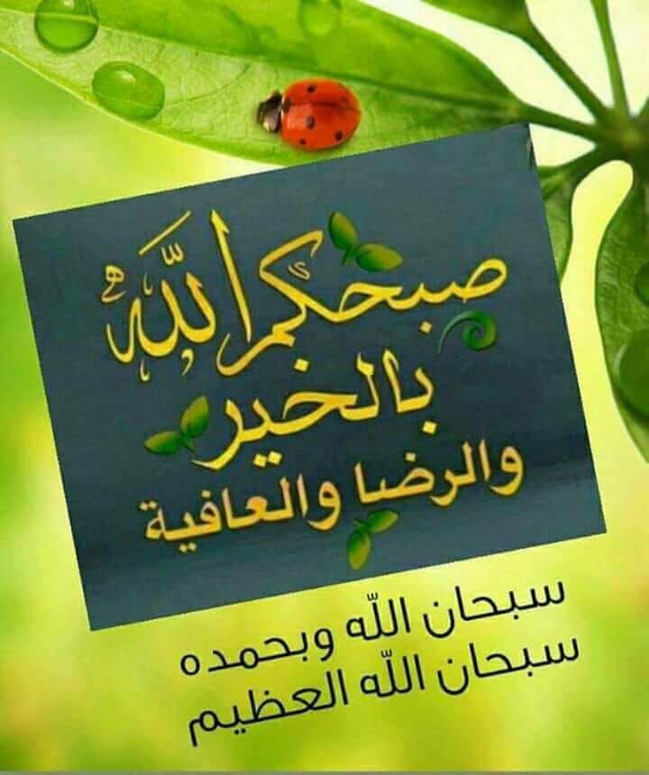 alnbhanee's tweet photo. https://t.co/tZlJ2442B8
