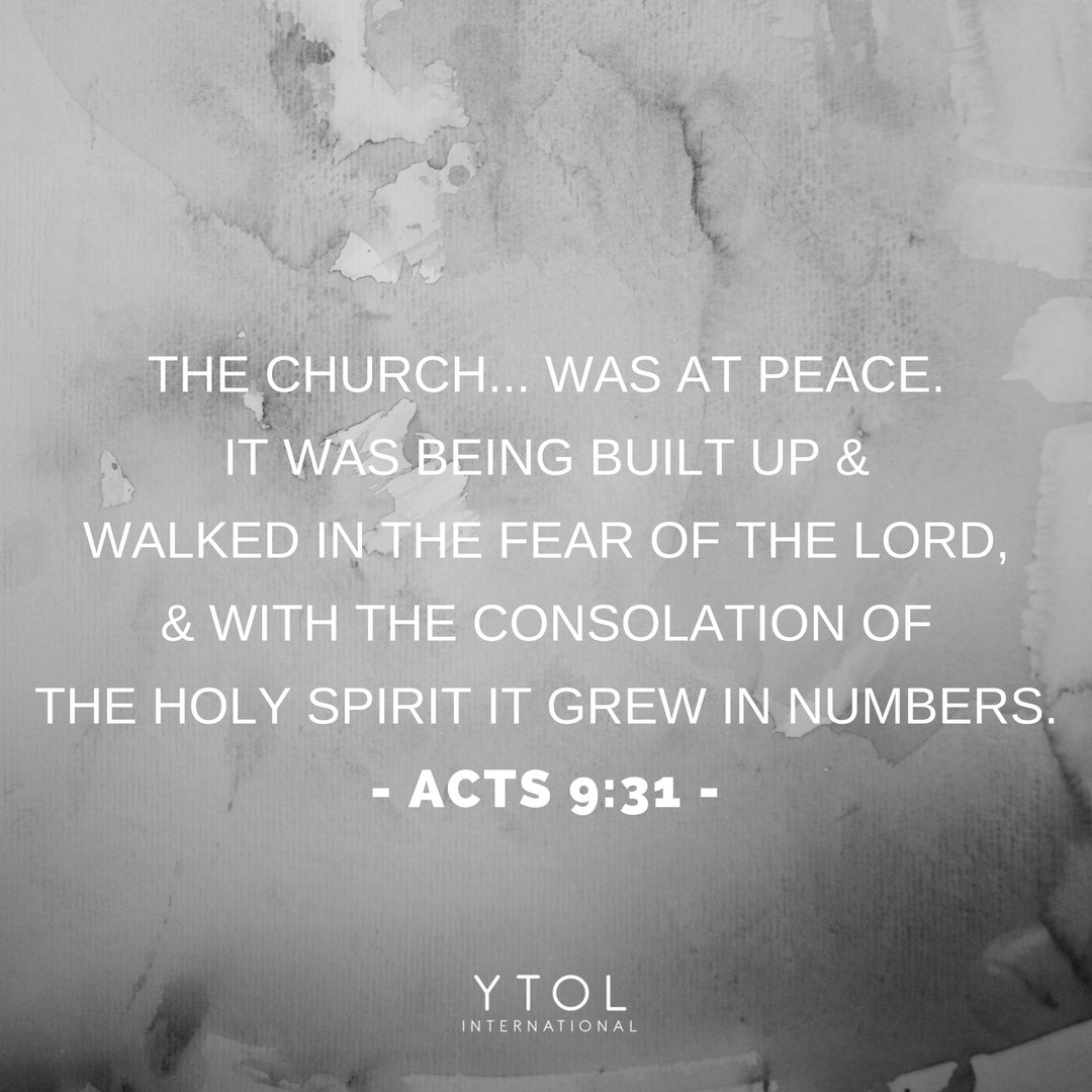 The Church... was at peace.
It was being built up &amp; 
walked in the fear of the Lord,
&amp; with the consolation of
the Holy Spirit it grew in numbers.
- Acts 9:31 -

#YTOL #YATOL #ENSJ #EJNS #ENDG #ENDJ #Scripture #Catholic #Sunday #Acts #Bible
