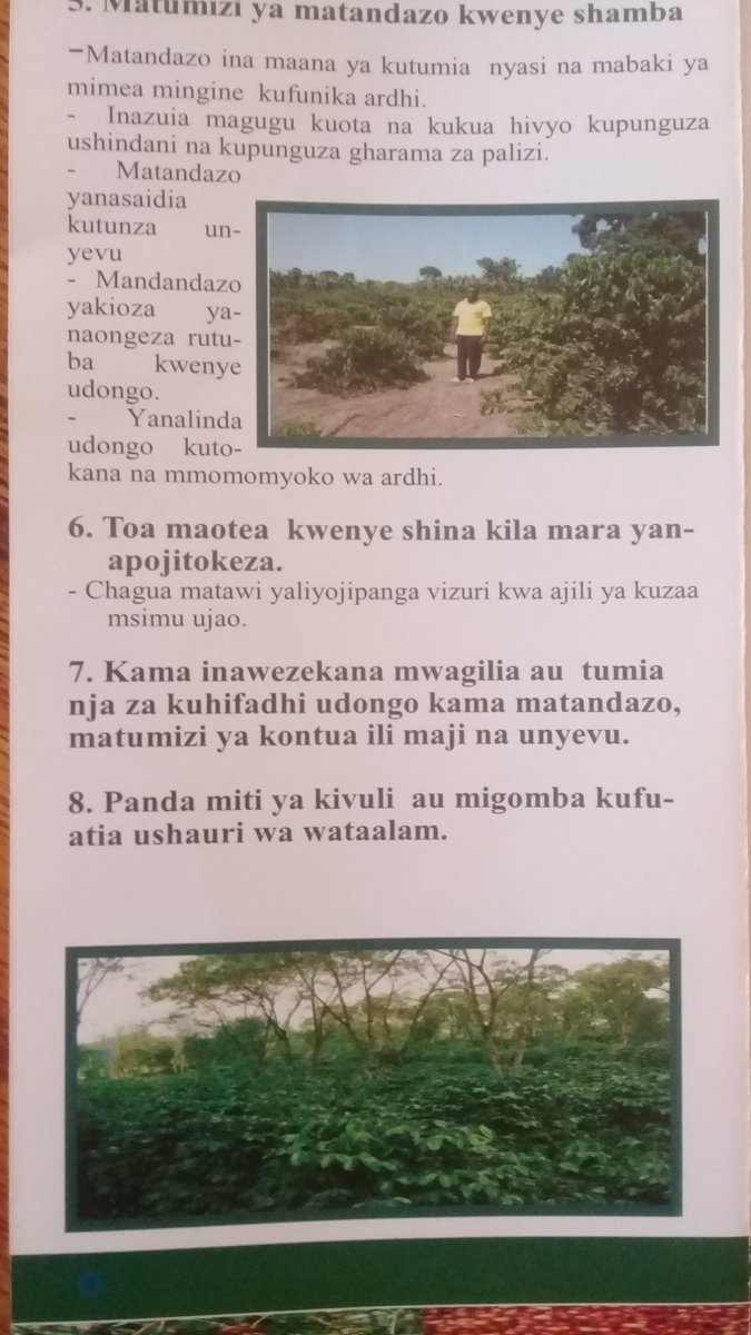 yedo_kibondo's tweet photo. Zao la #kahawa limepewa kipaumbele na vijana wa #YedoTanzania wameonyesha mwitikio wa hali ya juu, juu ya #kilimo hiki na kuiomba serikali ijitahidi kutoa #Pembejeo kwa mda mwafaka @Tizeba @MagufuliJP @majaliwa_kassim.
#UsichukuliePoa ujana ni kujielewa. https://t.co/AuM8jjrxIu
