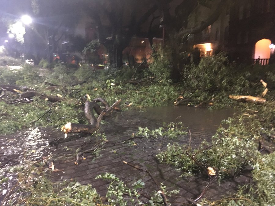 Ver imagen en Twitter