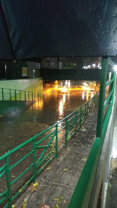 Ver imagen en Twitter