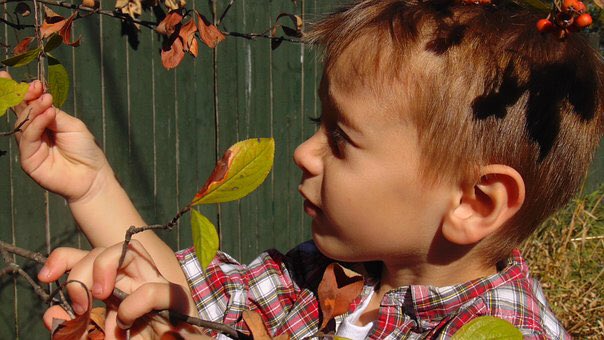 LizClarkDance's tweet photo. My best #takeaway from @Keep_EYs_Unique #NottsKEYU yesterday? “The roots of #mastery can be found in the Characteristics of Effective Learning” So: #playing, #exploring, #finding out. YES!!!! https://t.co/Ph3bI8fL8n