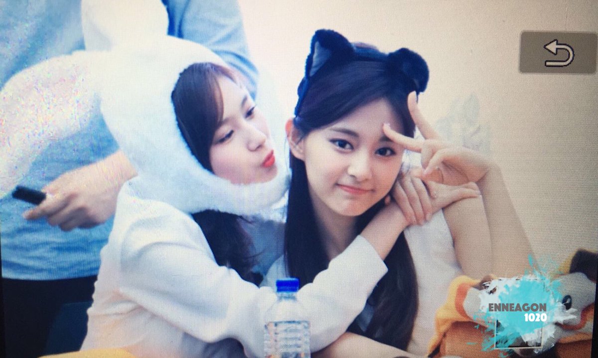 Enneagon1020(앤니어곤) tweet media