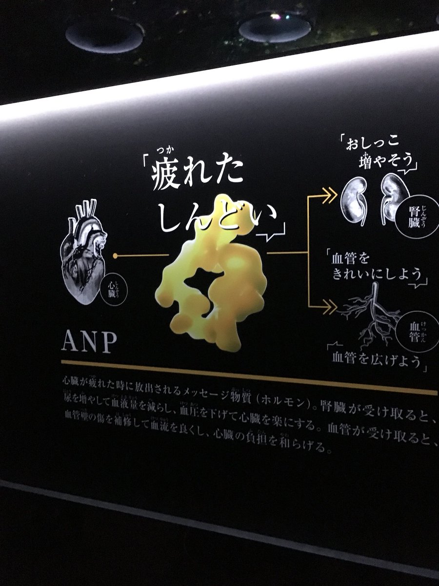 加藤涼太郎 疲れた しんどい 加藤涼太郎 疲れた しんどい