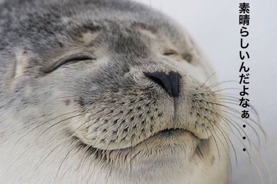 萩原麻里 5 28発売 呪殺島の殺人 新潮社nex