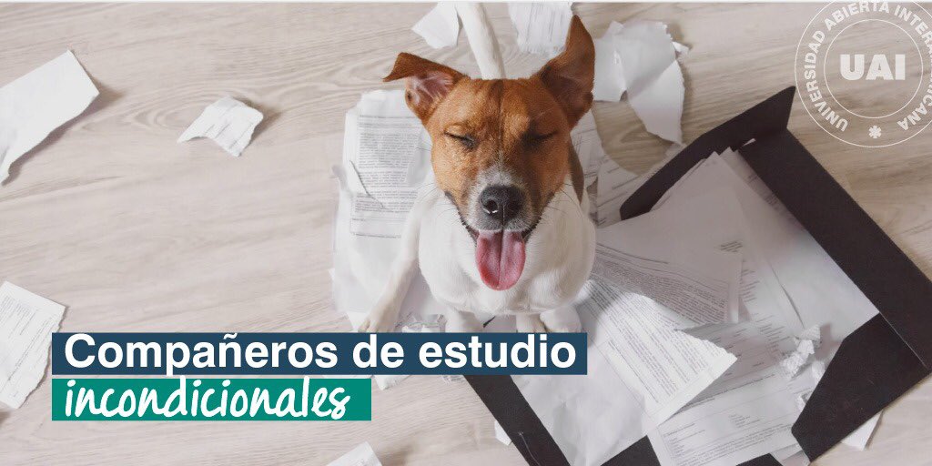 UAI_Univ's tweet photo. ¡Dedicamos esta publicación a ellos! #DíaDelAnimal https://t.co/y2RaMzSxS5