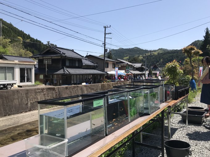 え 意外な読み方 鱂 なんと読む 読めたらすごい漢字クイズ Sotokoto Online ソトコトオンライン 未来をつくるsdgsマガジン