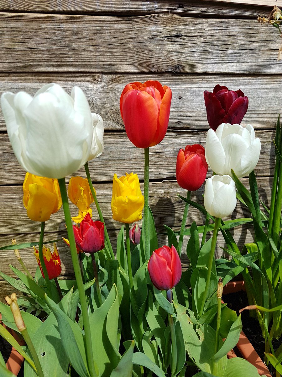 Emma Paull tweet media