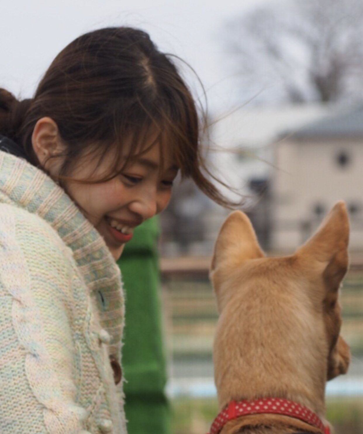 桑原みずき 保護犬の里親になって１年が経った今年の４月から ドッグトレーナーの資格を取るために勉強をしています ブログ T Co 6ksngxelxs 犬に興味がある方や飼ってる方はぜひ覗いてください みんなが知らないかもしれない犬の