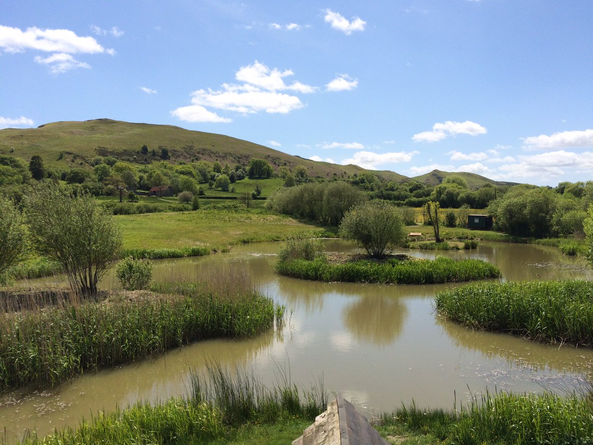 SrSpringrock's tweet image. Pods available this week so you can enjoy the bank in the warm and dry!!