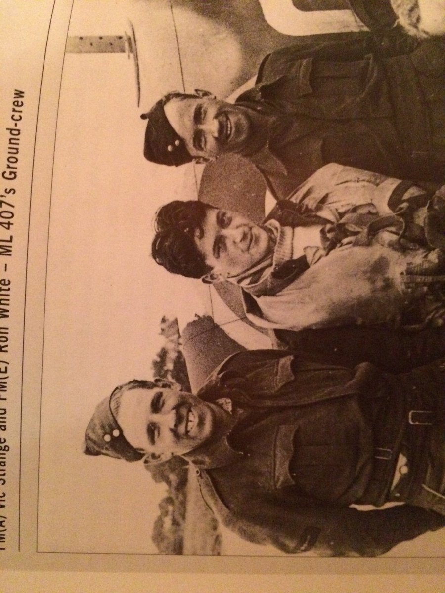 Carolyn Grace tweet media