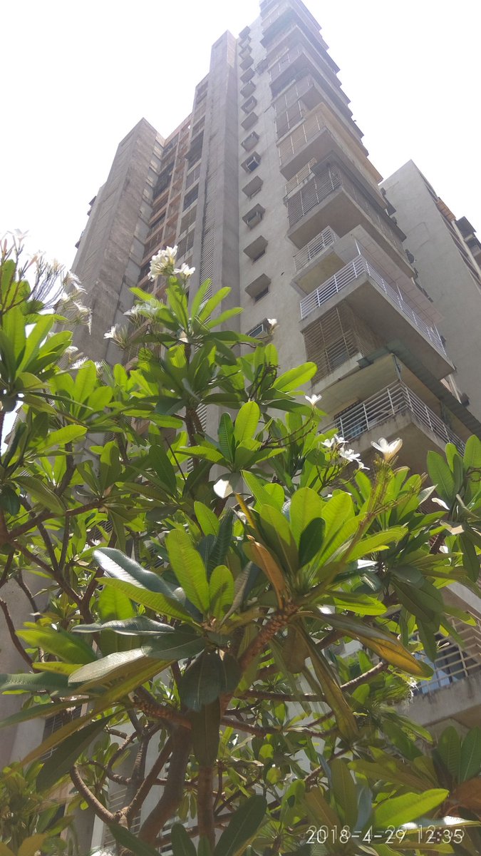 SunRealEstate1's tweet photo. Resale 2 bhk A-wing 1.90 cr &amp; B WING FLAT 1.85cr.Tower Just Call 📞 9769915499 Om 🕉 Sun ☀ Real Estate Airoli, Brokerage Applicable %T&amp;C. https://t.co/FPaGGqj9H4