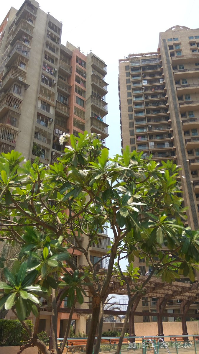 SunRealEstate1's tweet photo. Resale 2 bhk A-wing 1.90 cr &amp; B WING FLAT 1.85cr.Tower Just Call 📞 9769915499 Om 🕉 Sun ☀ Real Estate Airoli, Brokerage Applicable %T&amp;C. https://t.co/FPaGGqj9H4