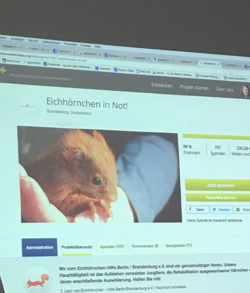 Heute beim Botschaftertreffen: Best Practises im Online Fundraising. Tolle Arbeit von der Eichhörnchen-Hilfe Berlin!