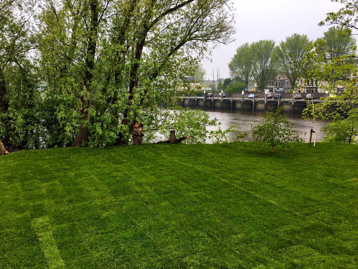 GOUDasfalt's tweet photo. Lekker zoโn verfrissend buitje. Goed voor het gras @GOUDasfalt #ligweide #stadsstrand #gouda #workinprogress https://t.co/M826PUDCnz