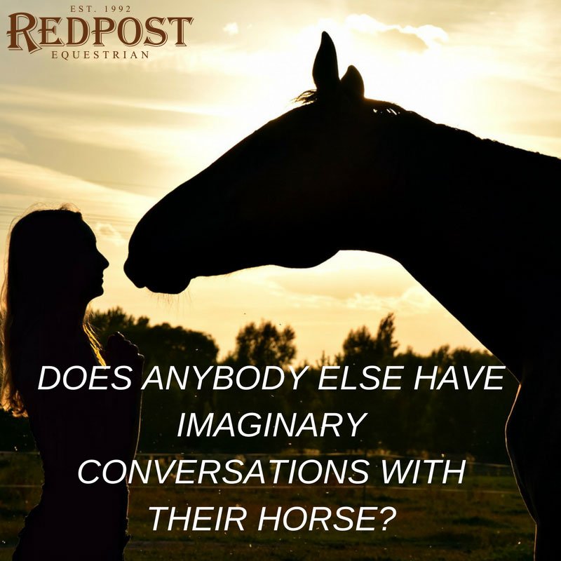 RedpostEq's tweet photo. After getting the horses in from the field today and having a lengthy conversation with them on the way back to the stables, we did wonder...does anybody else do this? 🤣🙈 Comment if you do! #redposteq https://t.co/WDIzBpiYV2
