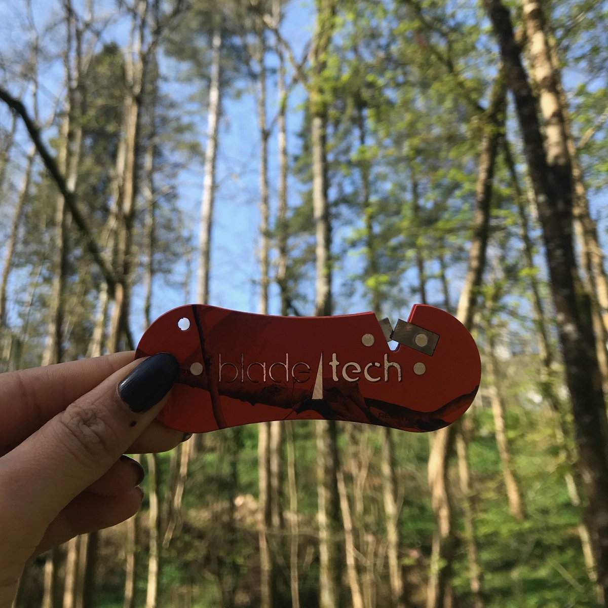 BladetechUK's tweet image. Wandering in the woods 🍃  #BladeTech