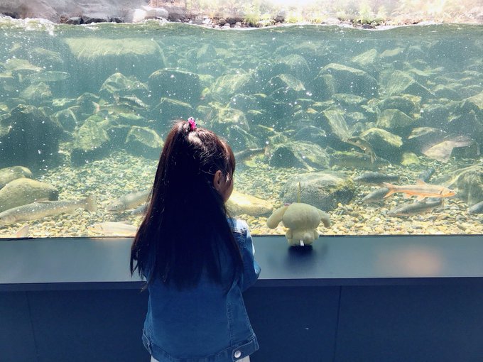 Twitterのコスプレ画像8