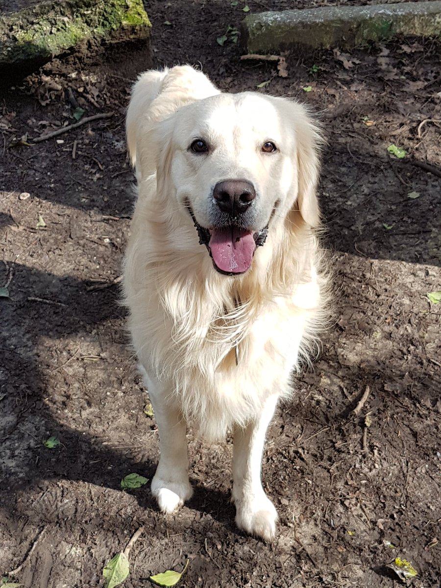 Emily Smith tweet media