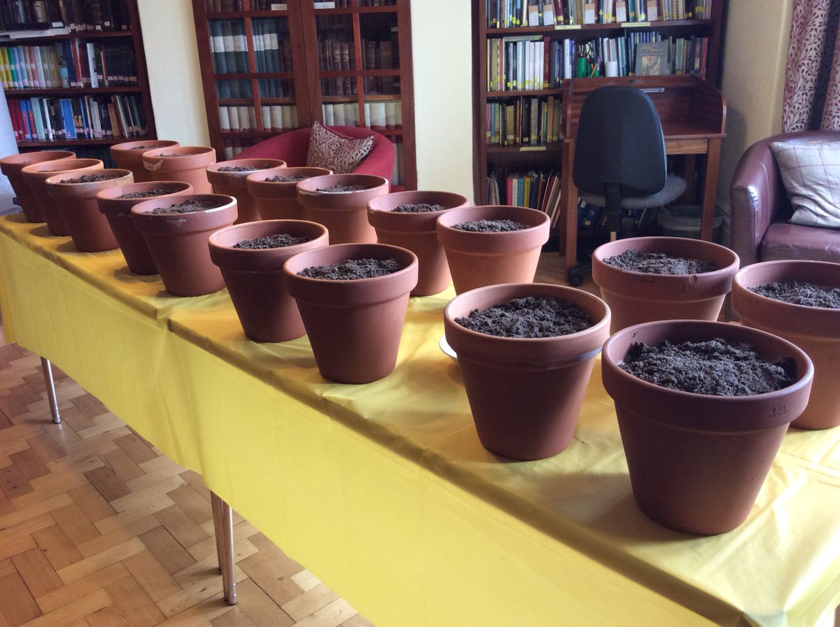 HouseWellspring's tweet photo. #LivingJoyfully pots planted with sunflower seeds by participants at yesterdayโs workshop @petefillery @BuryLibraries @KariJoys @WyevaleGC @Lancswildlife - planting #Joy #Joyshare https://t.co/hqbfUtXAv8