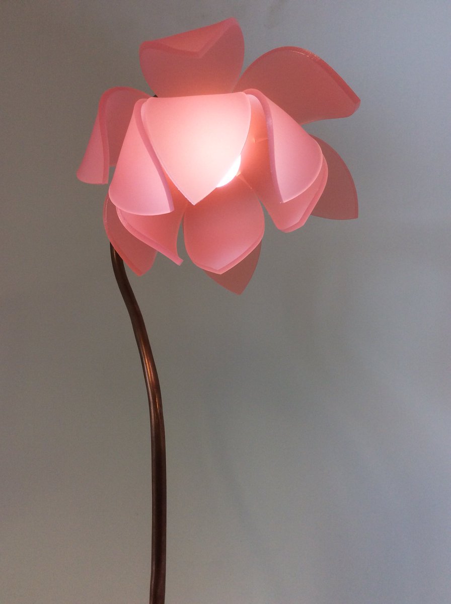 TechnologyNhs's tweet image. Unbelievable work from Ffion, 1960s inspired lamp! It looks fantastic, well done. @NewportH @wjec_cbac @DTassoc @NhsYear11 #productdesign #GCSE #flower #plastic #CAD @CREATE_EDU_PROJ