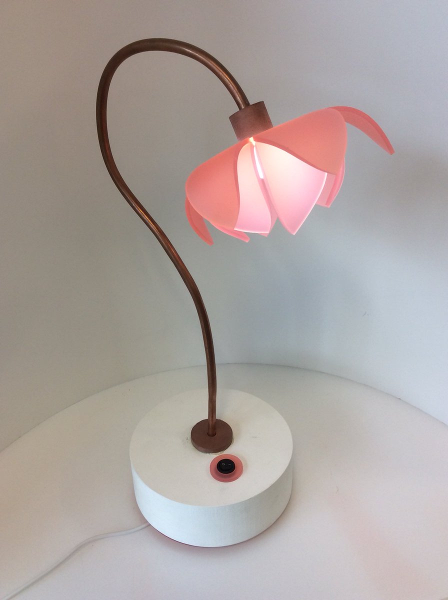 TechnologyNhs's tweet image. Unbelievable work from Ffion, 1960s inspired lamp! It looks fantastic, well done. @NewportH @wjec_cbac @DTassoc @NhsYear11 #productdesign #GCSE #flower #plastic #CAD @CREATE_EDU_PROJ